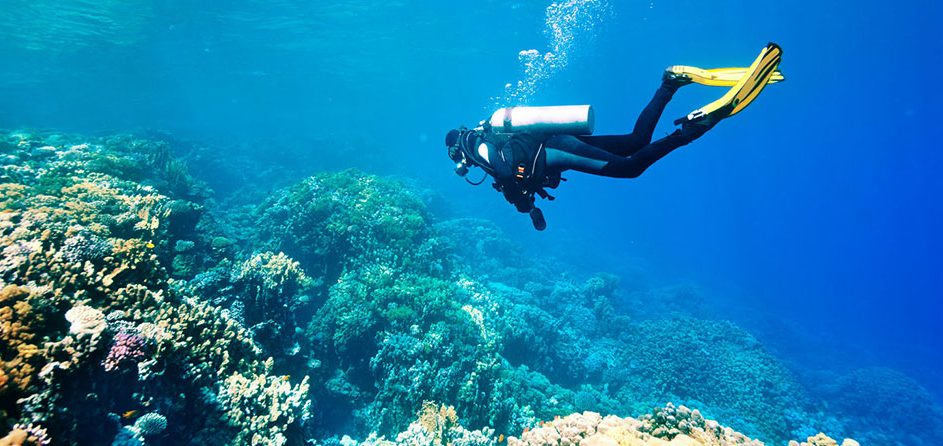 7 Tage Tauchen in Hurghada (14 Tauchgänge)